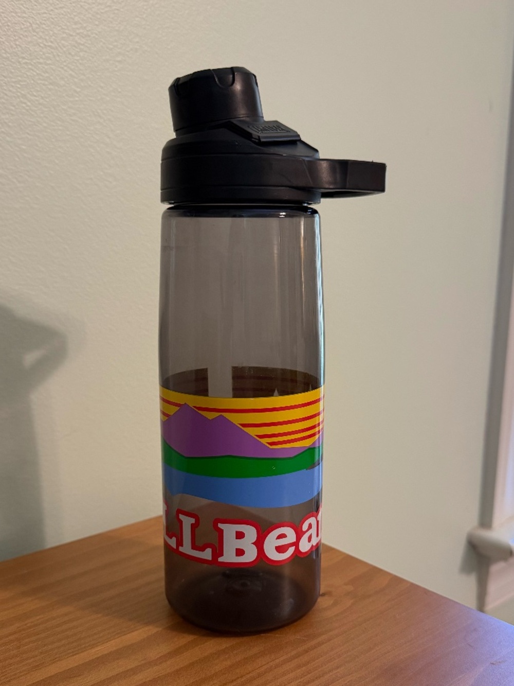 L.L. Bean x Camelbak 750 ml Water Bottle